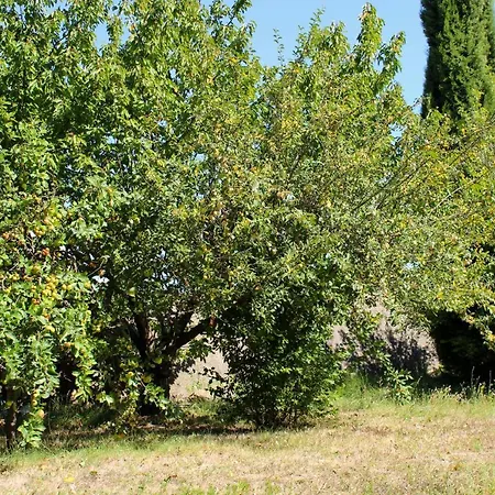 New! De Charme Au Mas De Soleil Goudargues